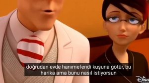 (TÜRKÇE ALTYAZILI) - MUCİZE UĞUR BÖCEĞİ İLE KARA KEDİ -OPTİGAMİ YANİ SAHNE 4.SEZON