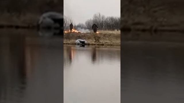 КОСТРОМА. Святое Озеро. Часть 1. смотреть онлайн