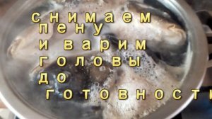 УХА ИЗ ГОЛОВЫ КАРПА, УХА ИЗ РЫБНЫХ ГОЛОВ, УХА ПО-ДОМАШНЕМУ. СУП ИЗ РЫБЫ. ВКУСНЫЙ РЕЦЕПТ. fish sou