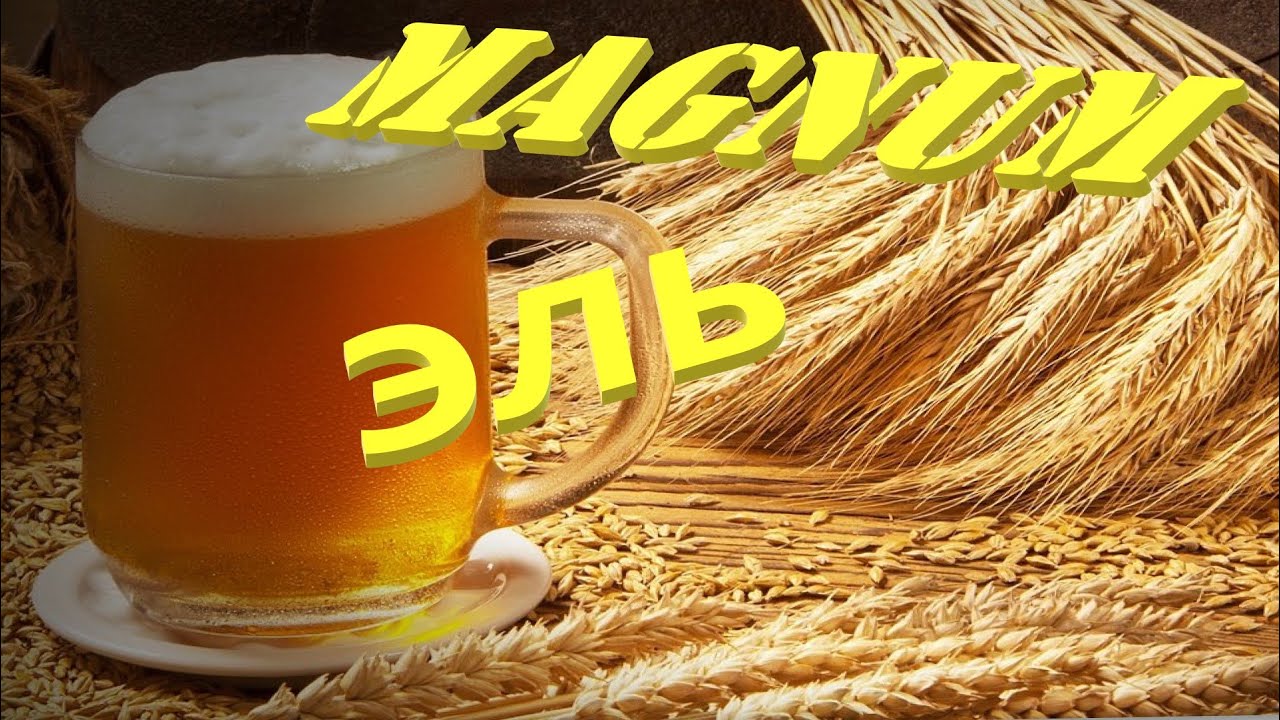 Пиво MAGNUM ЭЛЬ домашнее.mp4 смотреть онлайн