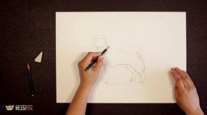 Как нарисовать волка поэтапно простым карандашом начинающие