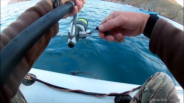 ловля ставриды в черном море