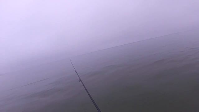 Ловим лосося на балтийском море ! смотреть онлайн