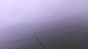 Ловим лосося на балтийском море !