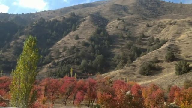 Жиззах Зомин манзаралари смотреть онлайн