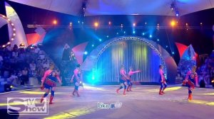 Chines Circus, The show of different animals | Китайский цирк, Шоу с животными