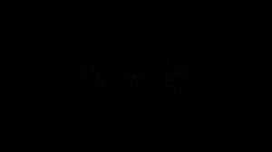 14-ый и 15-ый вопросы «Кто Хочет Стать Миллионером?»