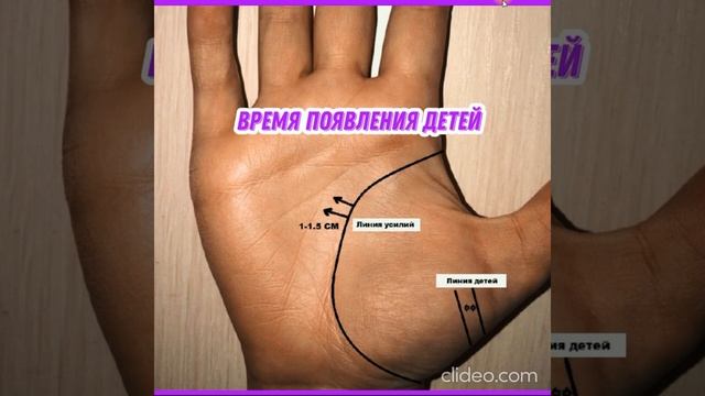 Как определить время появления детей? смотреть онлайн