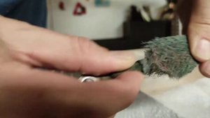 Плохая масса двигателя- кузов