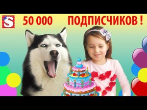 СОФИЯ и Сибирская хаски ФРЭНК 50 000 подписчиков на канале Маленькая мисс София