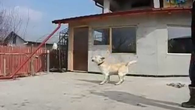 Nikon COOLPIX S9100 - Slow Motion смотреть онлайн