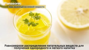 Шнековая соковыжималка Panasonic MJ-L500