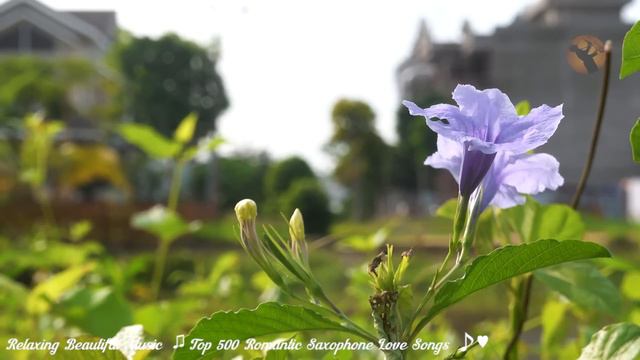 Romantic Love Songs in Saxophone - Beautiful Sax Instrumental - Relaxing Smooth Background Music смотреть онлайн