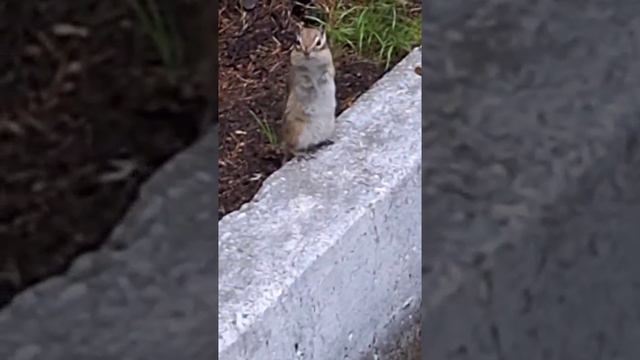 1000043036.mp4