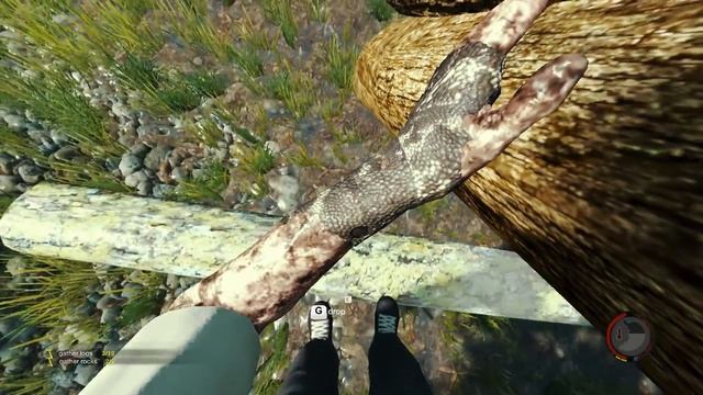 TheForest Экстренная доставка дров.