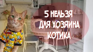 5 НЕЛЬЗЯ ДЛЯ ХОЗЯИНА КОШКИ