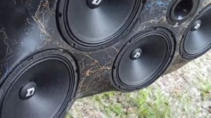 DL Audio Phoenix Sport 200 ( 5 пар)