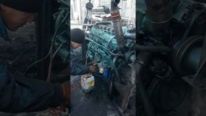 Двс хово