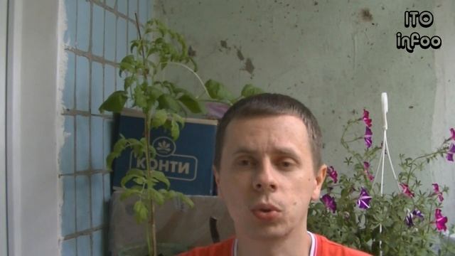 1 год каналу ITOinfoo. смотреть онлайн