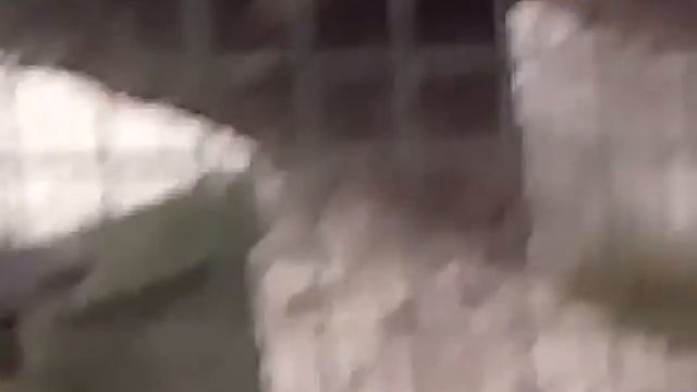 Воронежские Белки в клетке ....