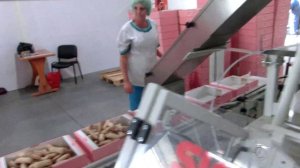 Дозирование пряников в телевизор и пакет