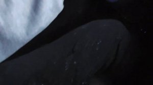 Каркасный дом своими руками. Нижняя обвязка