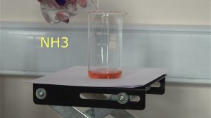 Co(II) + NH3