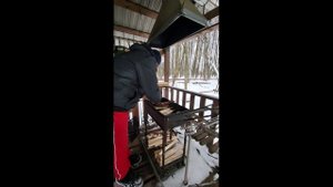 Дача-рыба.mp4