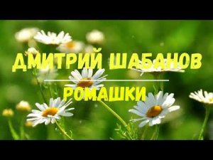 Дмитрий Шабанов - Ромашки (Слова: Елена Смирнова)