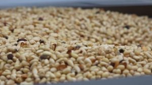 Бизнес в лицах: компания "КЕДР ЭКСПОРТ", Кемерово