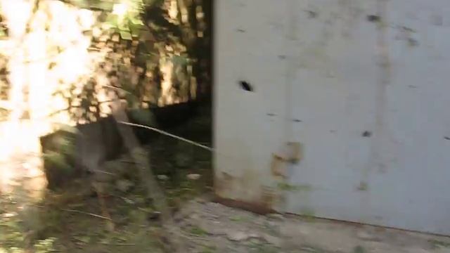 Донецк. 29 июля. Улица Розы Люксембург. смотреть онлайн