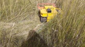 Гусеничная косилка ,радиоуправляемая платформа x-rex