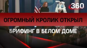 Огромный кролик открыл брифинг в Белом доме вместо Псаки