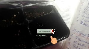 12. Проверим всходы от посева 13 февраля.