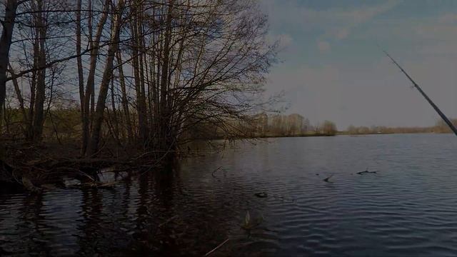 Первая рыбалка в 2023 году с боковым кивком... смотреть онлайн