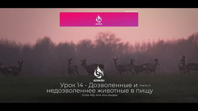 #14 Дозволено ли есть змей, собак, волков, ящериц | Харам и халяль | Абу Али аль-Ашари | AZAN.RU