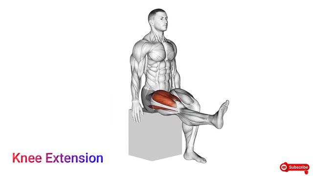 Home Based Morning Exercises Routine - (Do This Regularly) | Workout Club смотреть онлайн