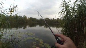 Выбор спиннинга для начинающего. Основные ошибки и критерии выбора.