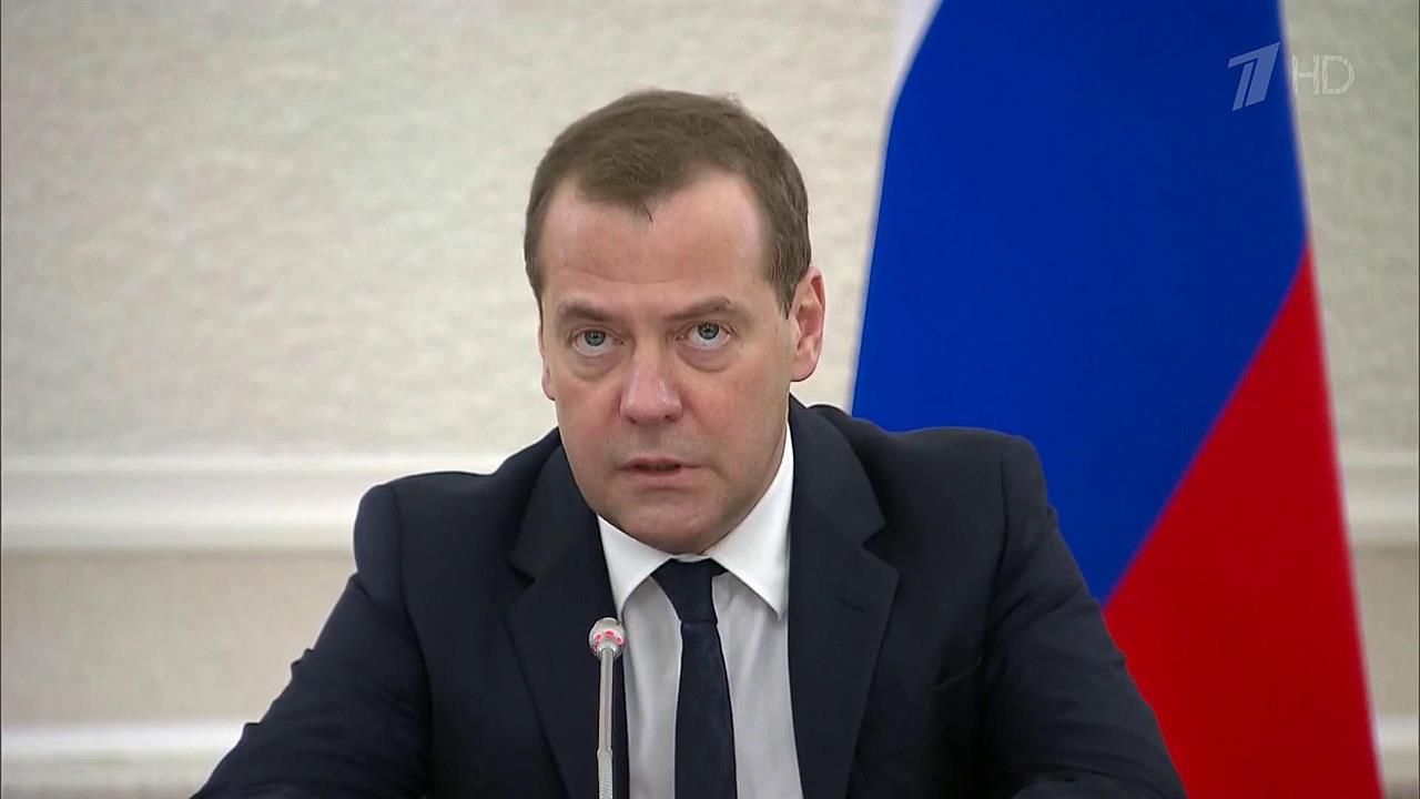В Петрозаводске Дмитрий Медведев провел совещание по ситуации в лесном хозяйстве России