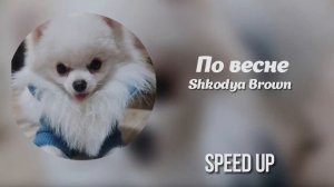 JAKONE, SCIRENA - По весне | Ай катит чёрный кадиллак ( speed up )