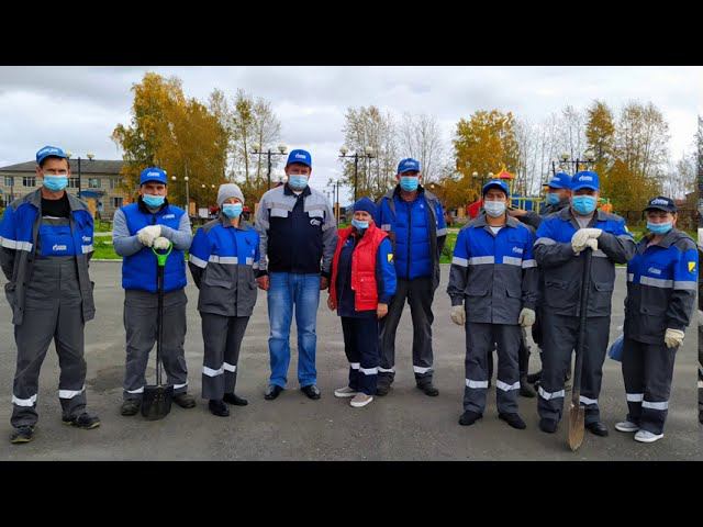 Озеленение парка села Парабель