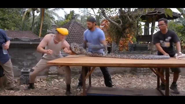 Питон кусает человека на телешоу "Короли Боли" смотреть онлайн