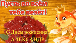 Александр, поздравляю с Днем рождения!