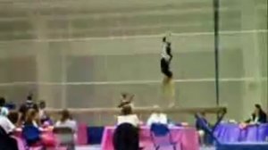 Мастер спорта по Спортивной гимнастике (женщины)