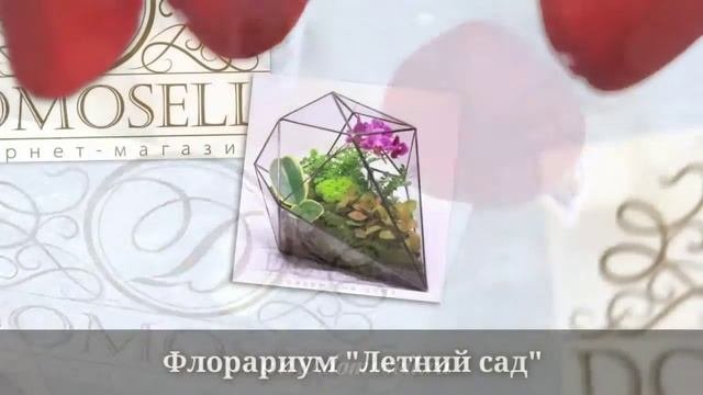 Флорариум купить : в интернет-магазине Domosell.ru
