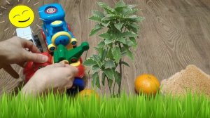 Синий Трактор, Суперкрылья, Грузик - Операция мандаринка. Непоседа.mp4