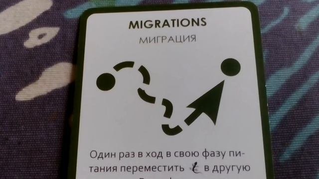 Эволюция  Континенты. Обзор