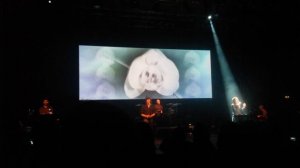 Laibach Berlin Haus der Kulturen  20160114