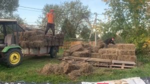 Тюкую и продаю сено, чтобы купить новый трактор!