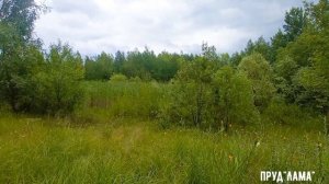 Прекрасное далеко села Старое Дубовое и Елец Маланино